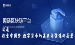 优质探索中国梦：数字货币的未来与张健的愿景