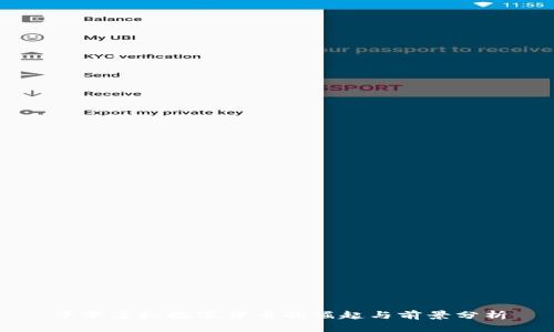 中华虚拟数字货币的崛起与前景分析